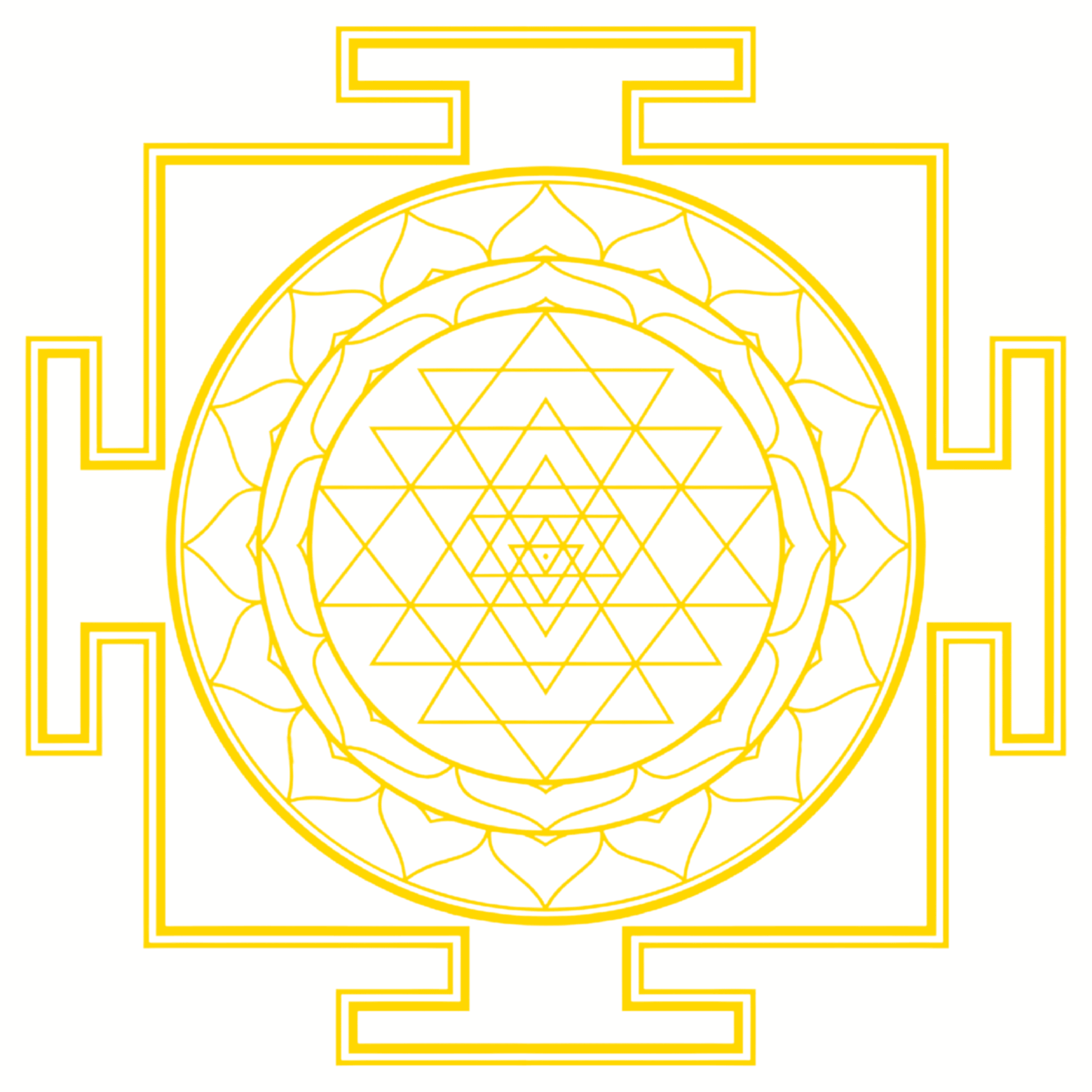 eNurgy Logo