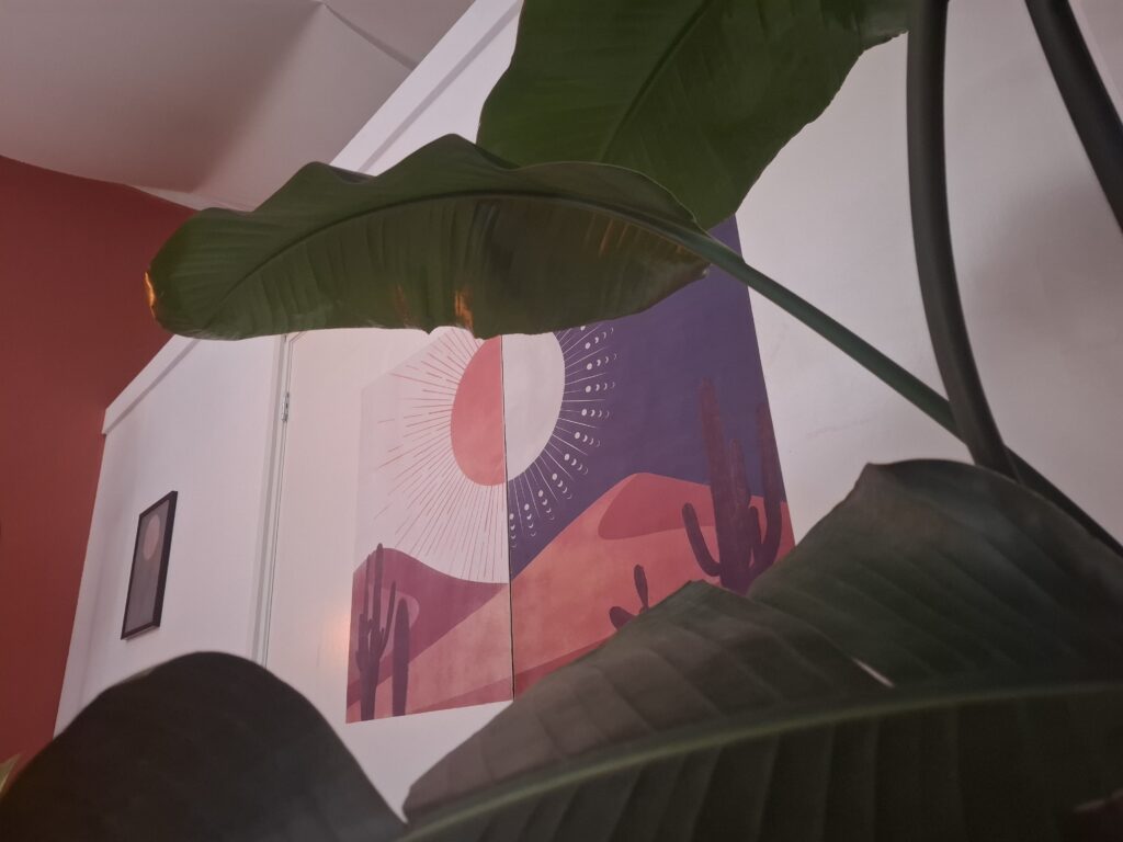 Sfeervol interieur van de eNurgy praktijkruimte in Leiden, met majestueuze plant en decoratie met het zachte kleuren palet van de ruimte.